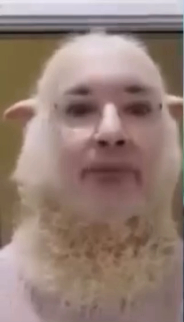 Leave Some For The Rest Of Us Sheep Screenshot