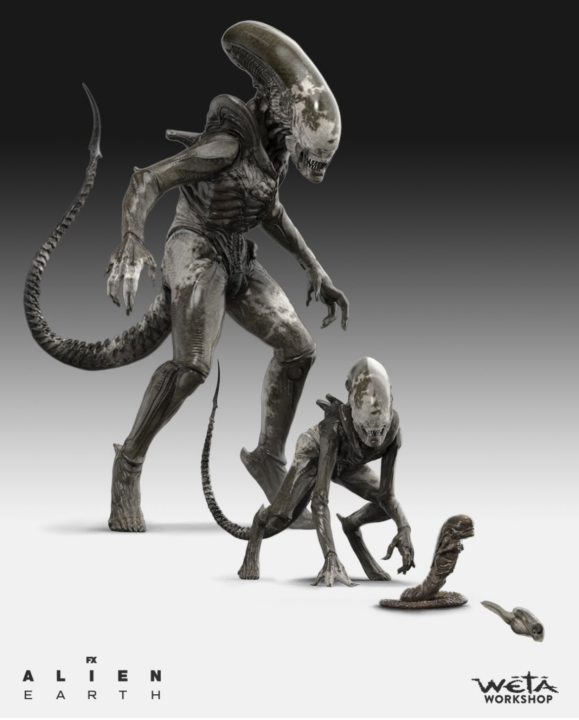FX ALIEN E ARTH WETA WORKSHOP