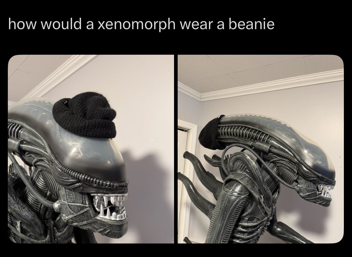 how would a xenomorph wear a beanie W