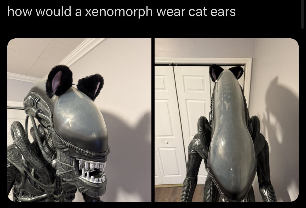 how would a xenomorph wear cat ears