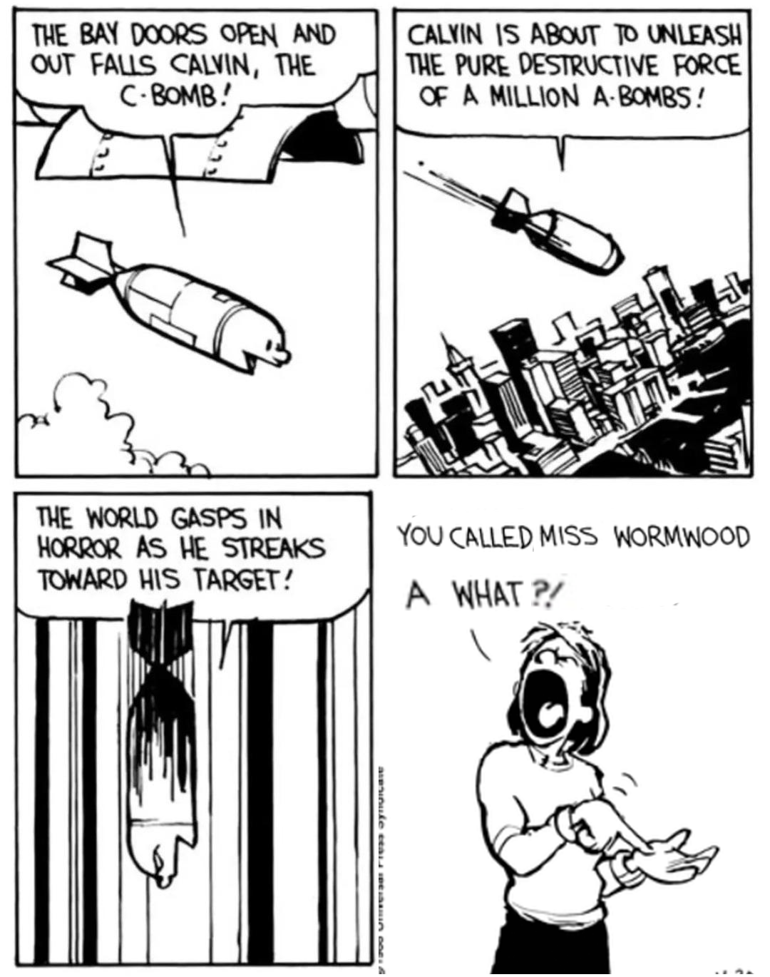 THE BAY DOORS OPEN AND OUT FALLS CALVIN, THE C-BOMB! CALVIN IS ABOUT TO UNLEASH THE PURE DESTRUCTIVE FORCE OF A MILLION A-BOMBS! THE WORLD GASPS IN HORROR AS HE STREAKS TOWARD HIS TARGET! YOU CALLED MISS WORMWOOD A WHAT?!