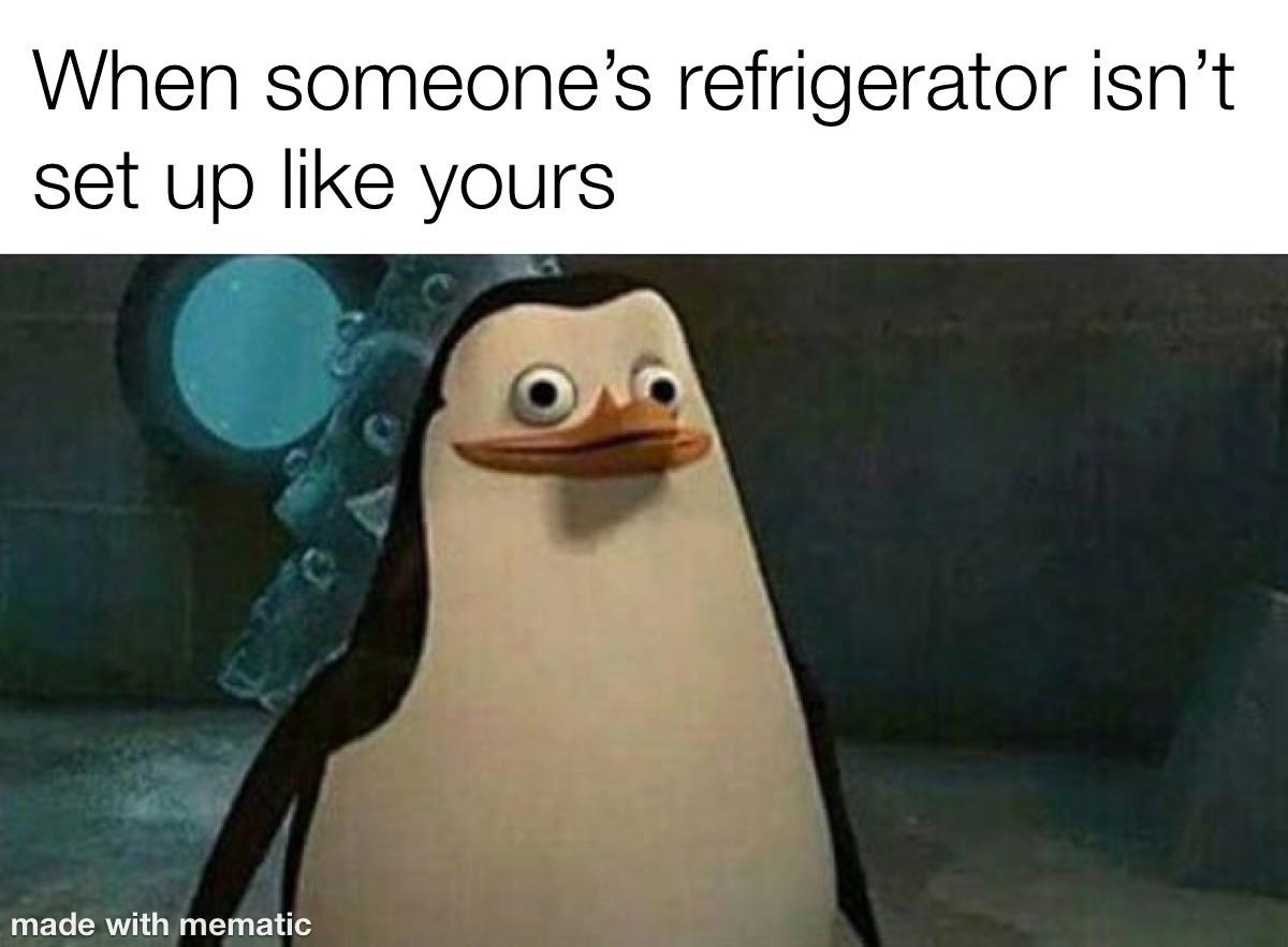 When someone's refrigerator isn't set up like yours made with mematic