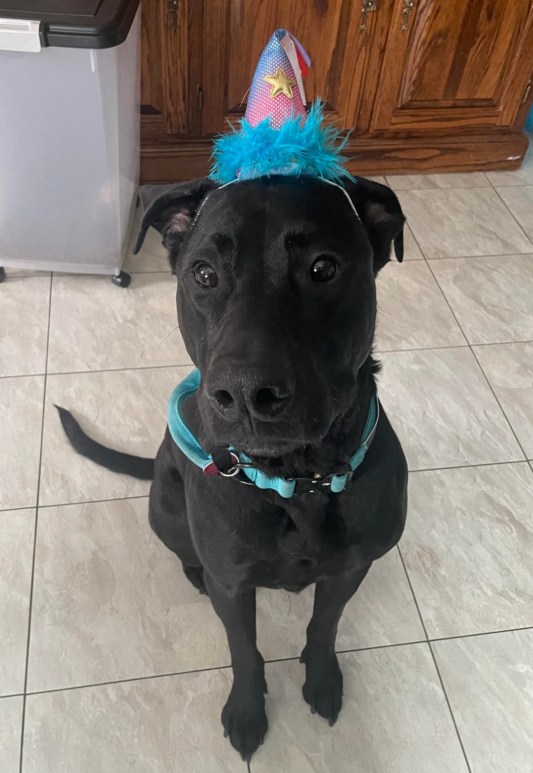 Professional birthday boy