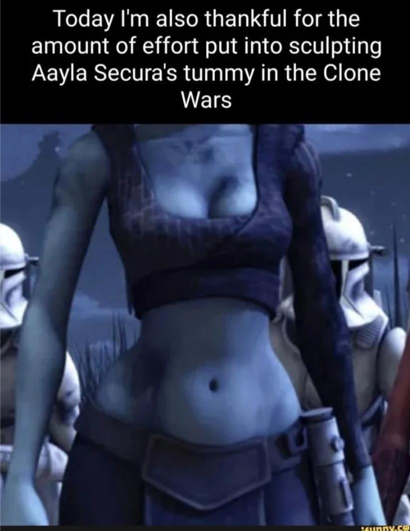 Today I'm also thankful for the amount of effort put into sculpting Aayla Secura's tummy in the Clone Wars Bunny.co