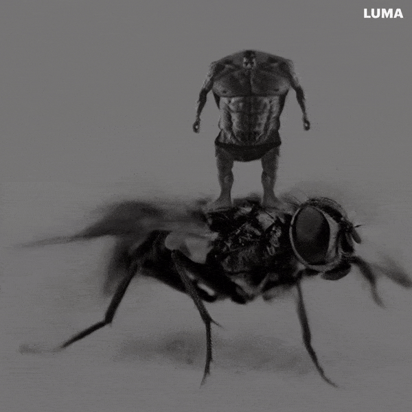LUMA