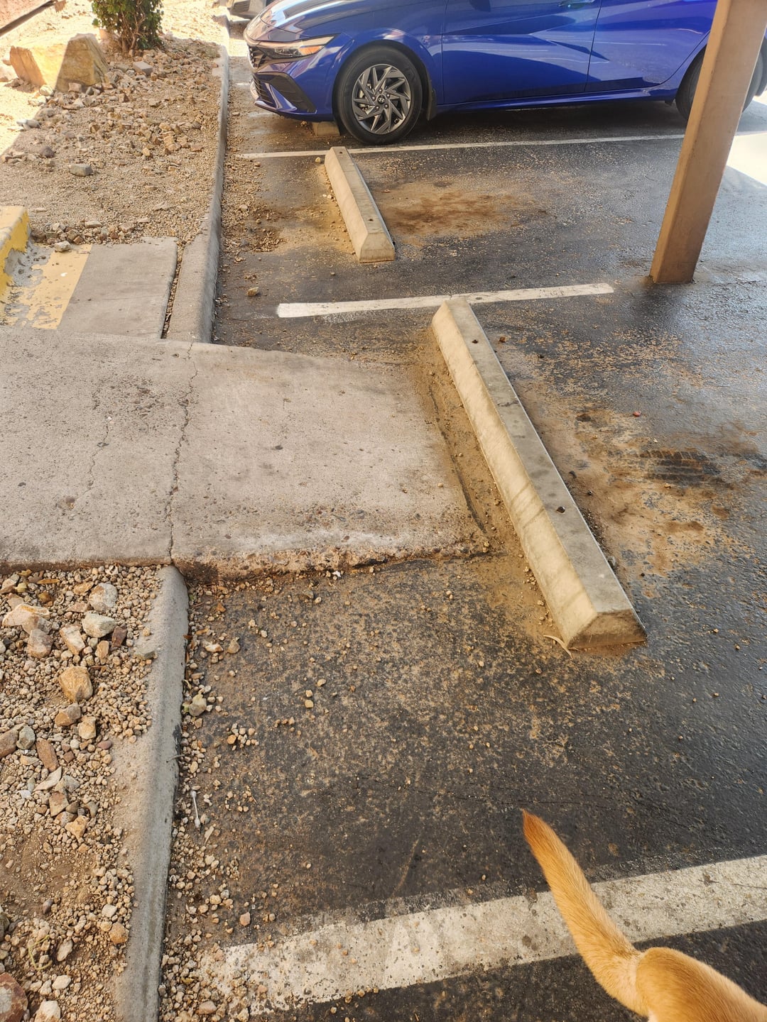 Accessibility is key