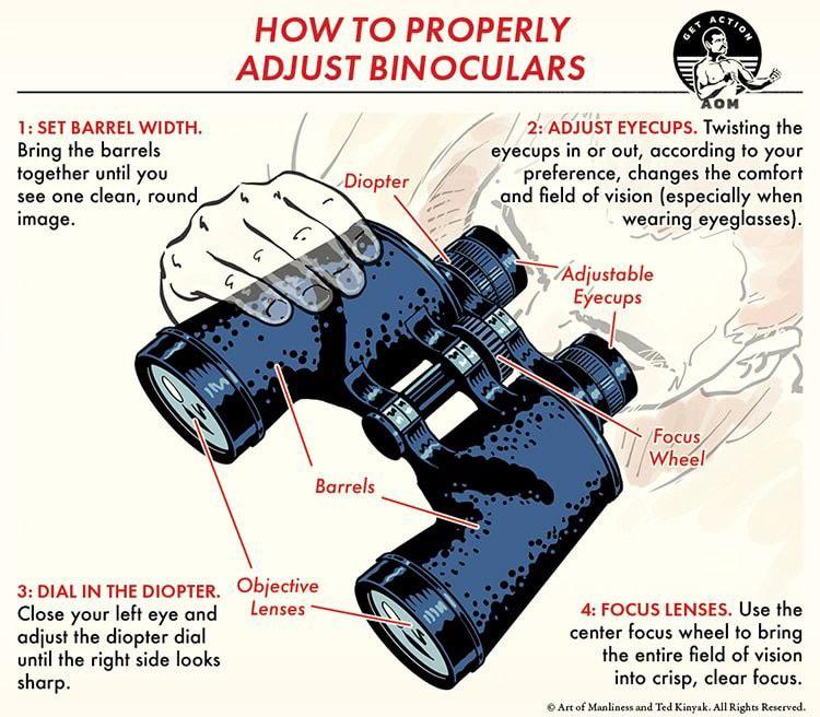 1: SET BARREL WIDTH. Bring the barrels together until you see one clean, round image. HOW TO PROPERLY ADJUST BINOCULARS G Diopter GET ACTION Хом 2: ADJUST EYECUPS. Twisting the eyecups in or out, according to your preference, changes the comfort and field of vision (especially when wearing eyeglasses). Adjustable Eyecups IM 3: DIAL IN THE DIOPTER. Objective Close your left eye and adjust the diopter dial until the right side looks sharp. Lenses Barrels Focus Wheel 4: FOCUS LENSES. Use the center focus wheel to bring the entire field of vision into crisp, clear focus. Art of Manliness and Ted Kinyak. All Rights Reserved.