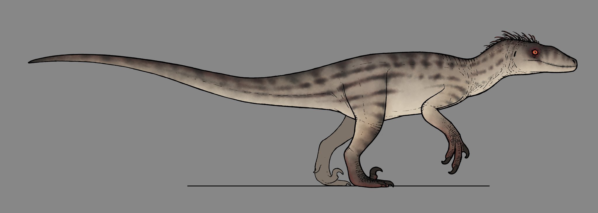 Jurassic park 3 velociraptor 
