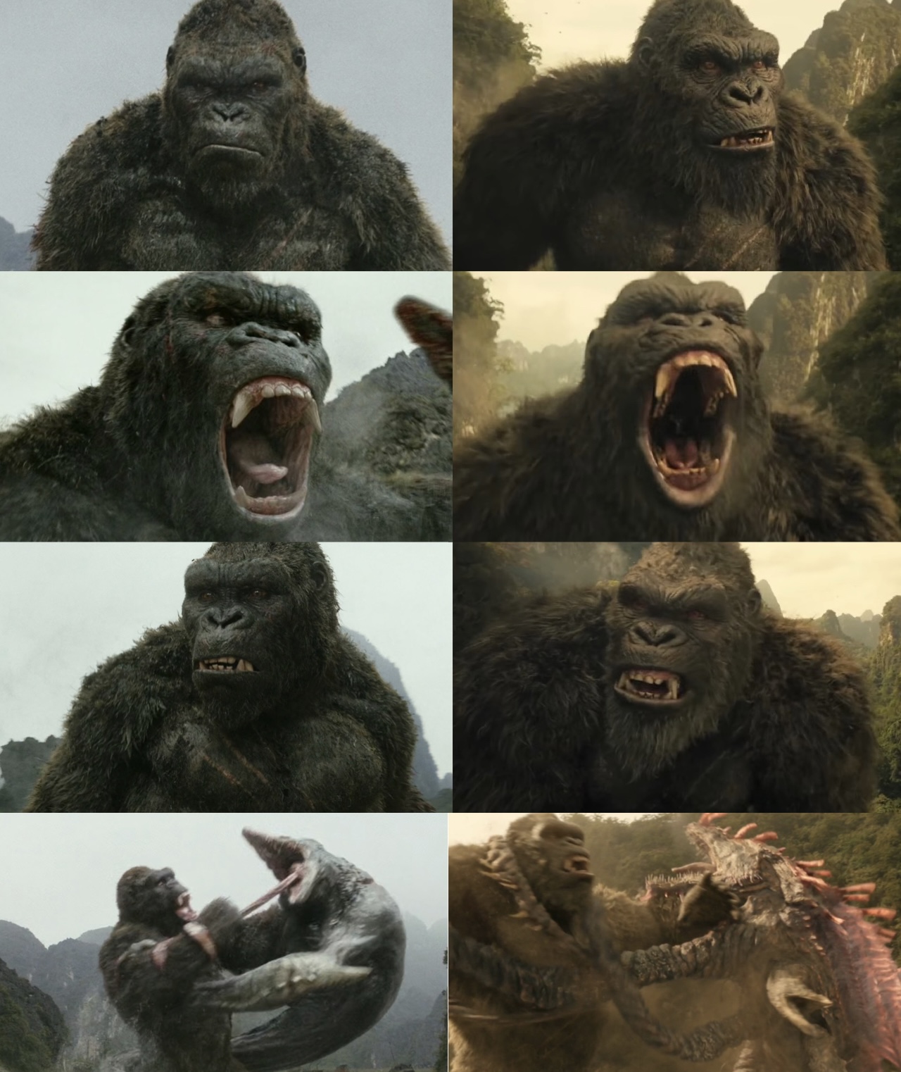 Kong comparison 