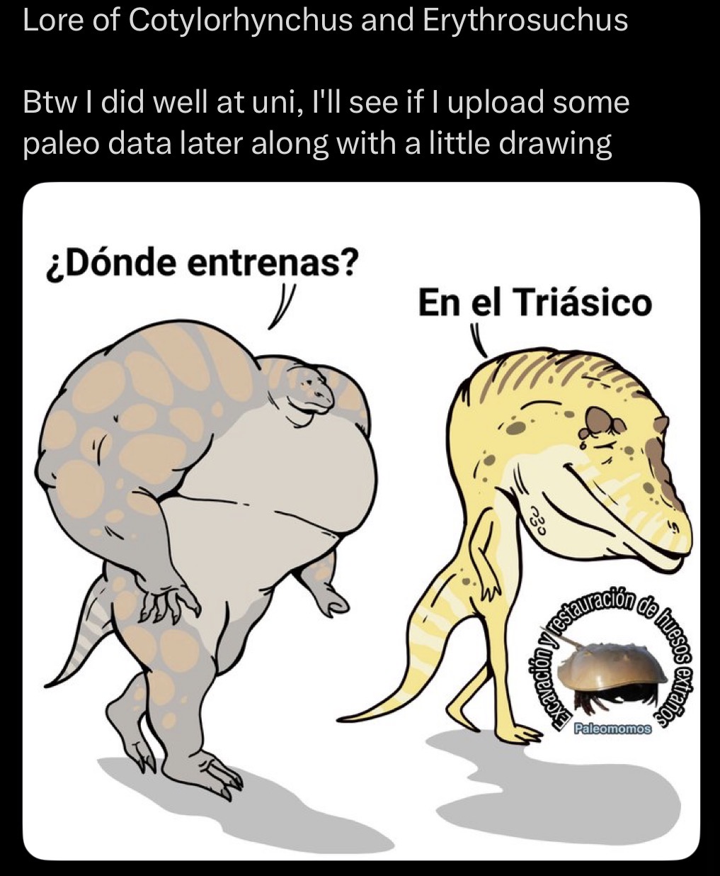 Lore of Cotylorhynchus and Erythrosuchus Btw I did well at uni, I'll see if I upload some paleo data later along with a little drawing ¿Dónde entrenas? En el Triásico 330 estauración de hues Paleomomos extraños