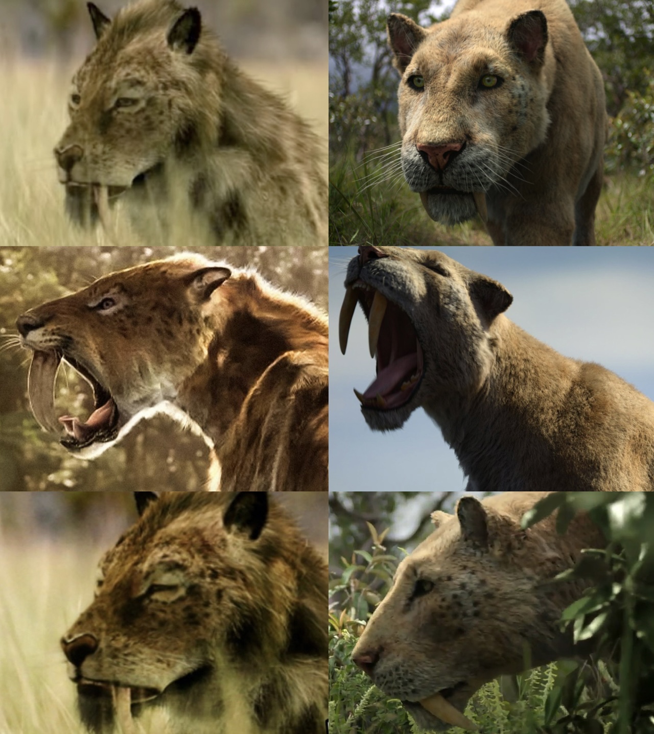 Impossible pictures Smilodon 