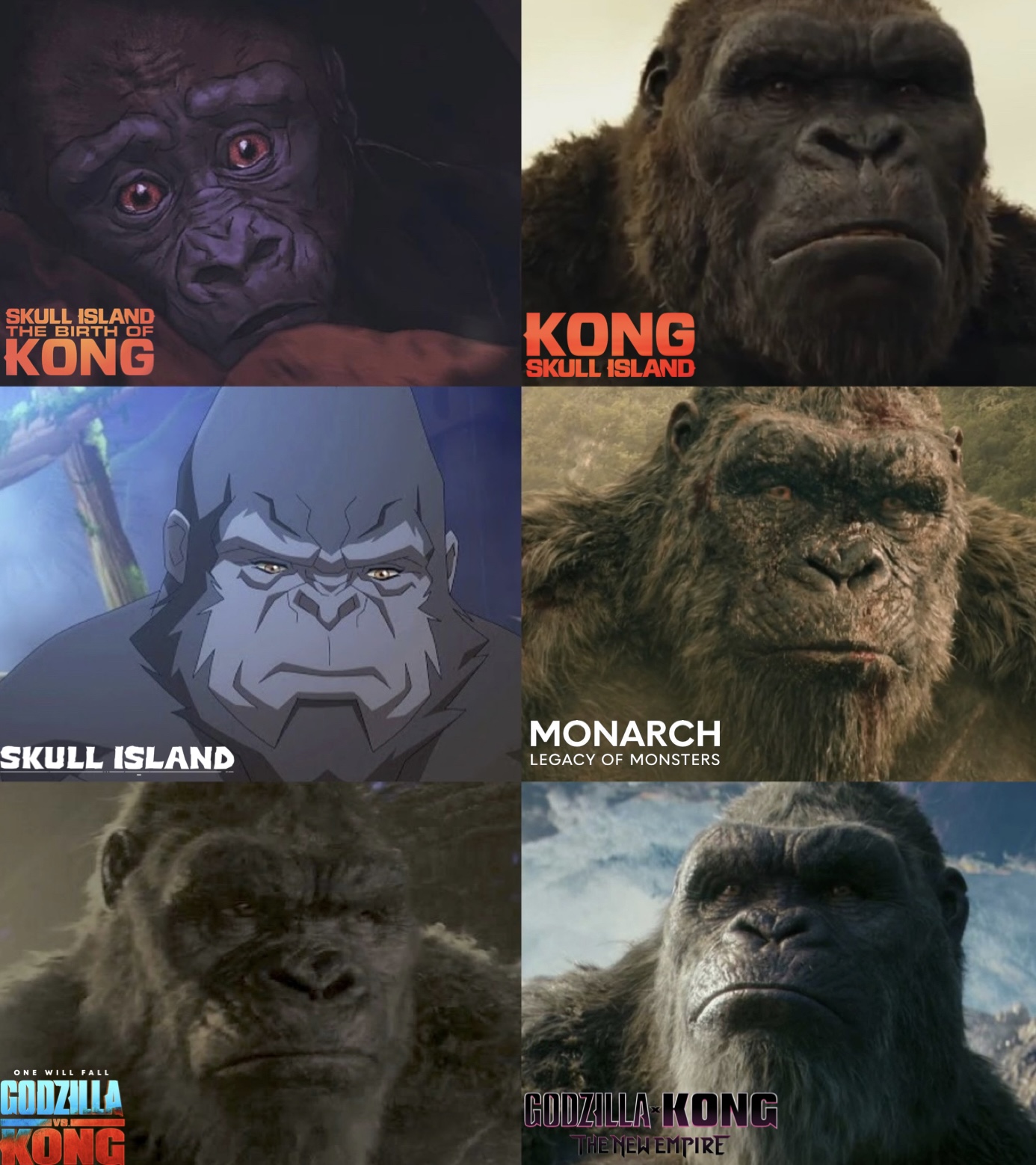 SKULL ISLAND THE BIRTH OF KONG KONG SKULL ISLAND SKULL ISLAND MONARCH LEGACY OF MONSTERS ONE WILL FALL GODZILLA KONG GODZILLA KONG THE NEW EMPIRE