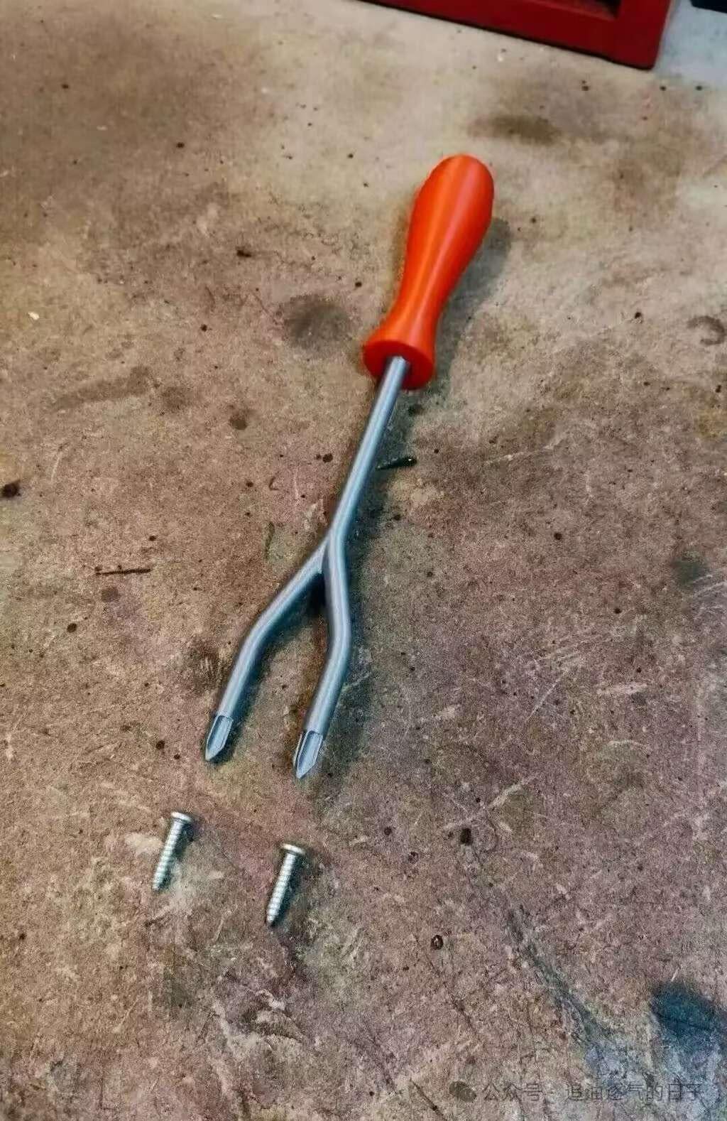 众号追通逐气
