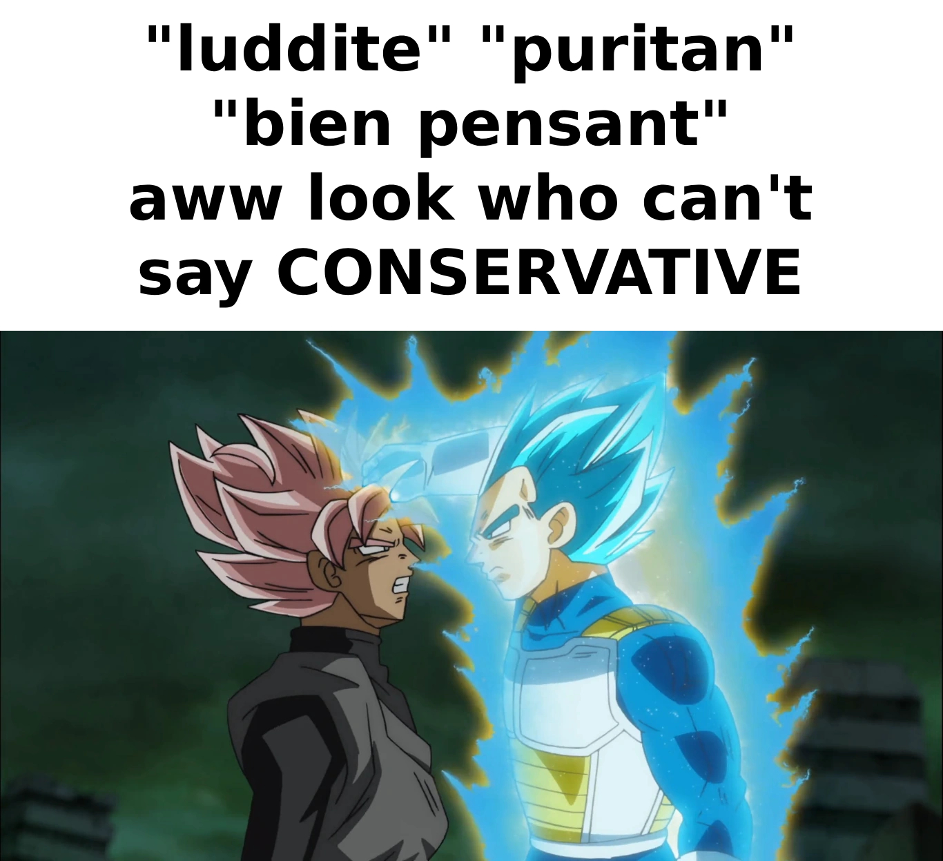 "luddite" "puritan" "bien pensant" aww look who can't say CONSERVATIVE