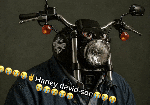 NOTOR E-AVIDSON Harley david-son