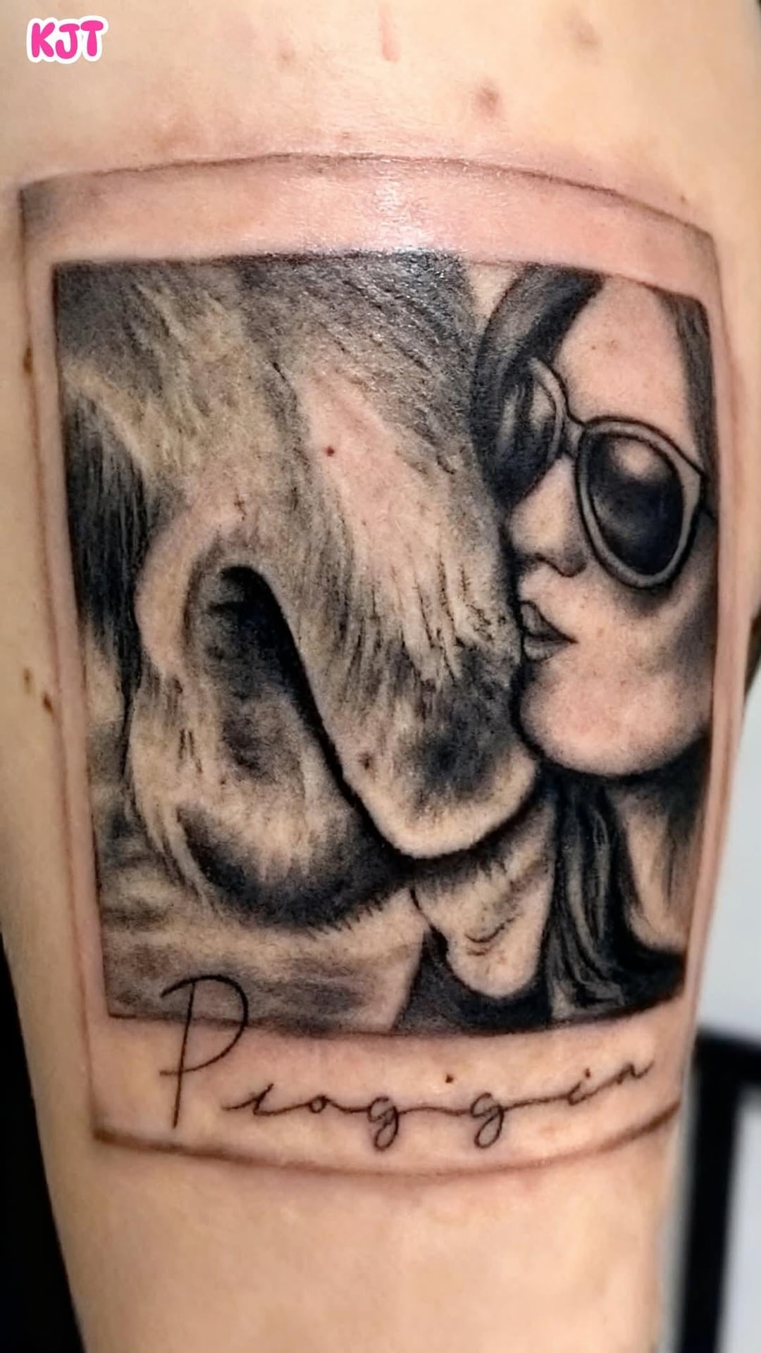 A horse