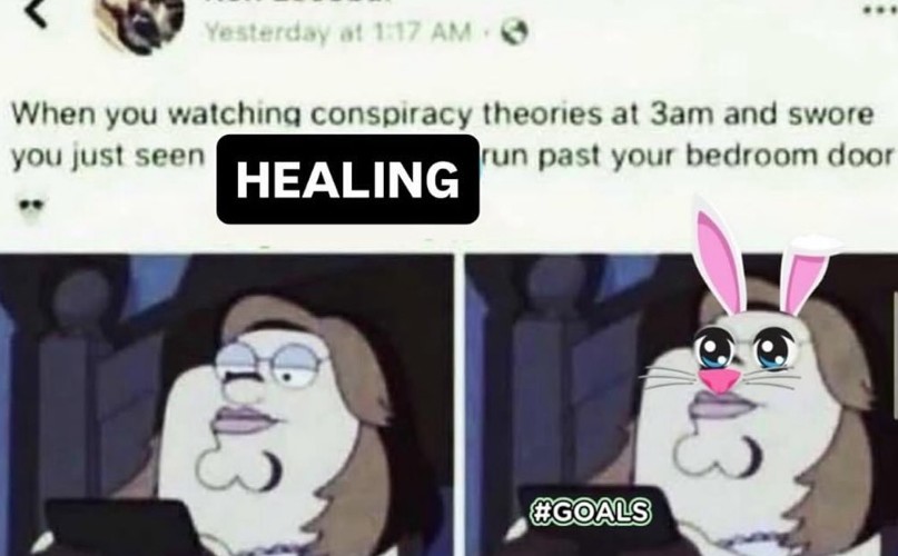 Yesterday at 1:17 AM When you watching conspiracy theories at 3am and swore run past your bedroom door you just seen HEALING 43 #GOALS
