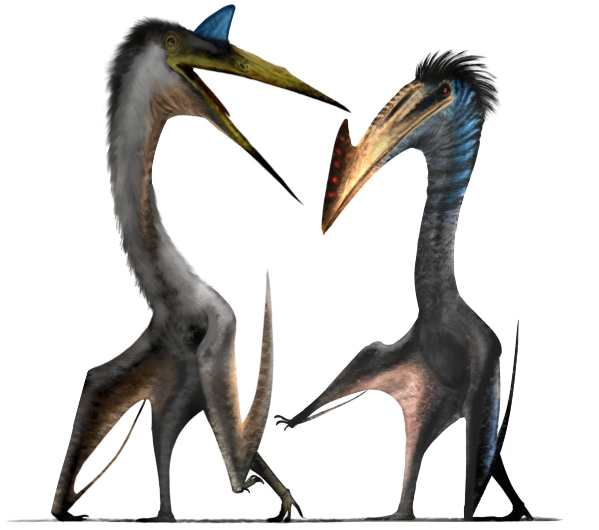 Quetzalcoatlus 