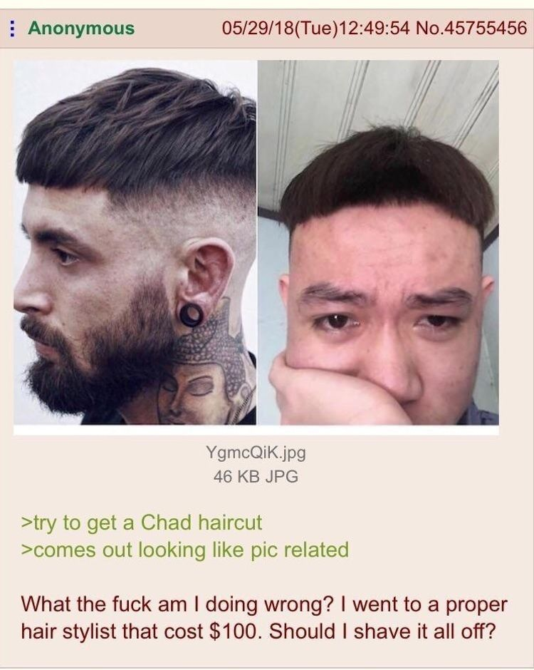 Anonymous 05/29/18(Tue)12:49:54 No.45755456 YgmcQiK.jpg 46 KB JPG >try to get a Chad haircut >comes out looking like pic related What the f--- am I doing wrong? I went to a proper hair stylist that cost $100. Should I shave it all off?