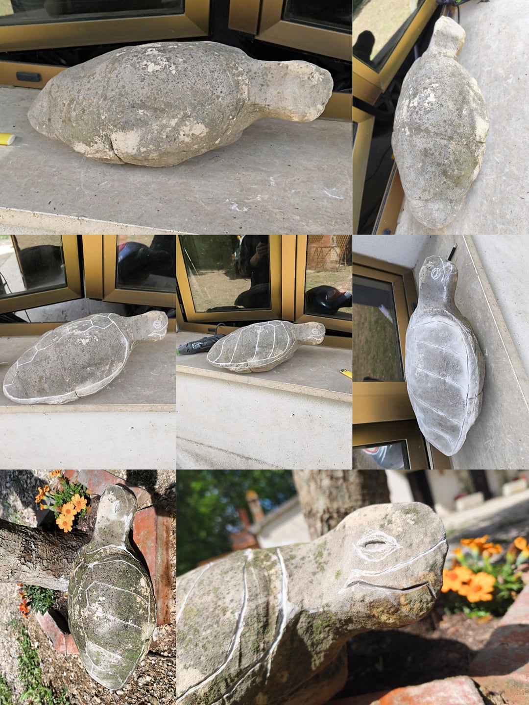 My turtle-shaped stone became a turtle