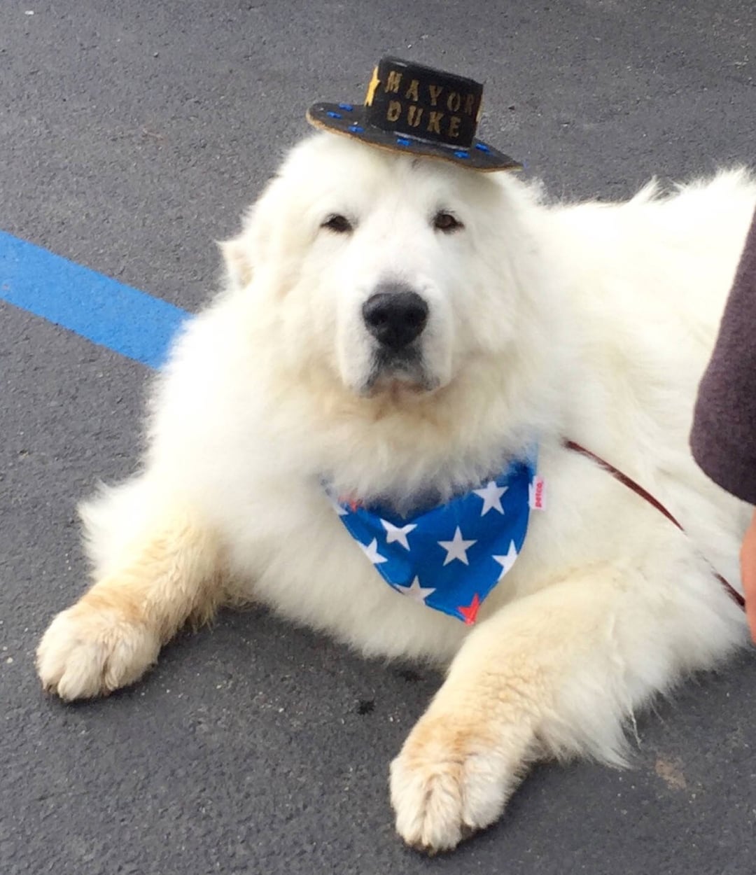 MAYOR DUKE