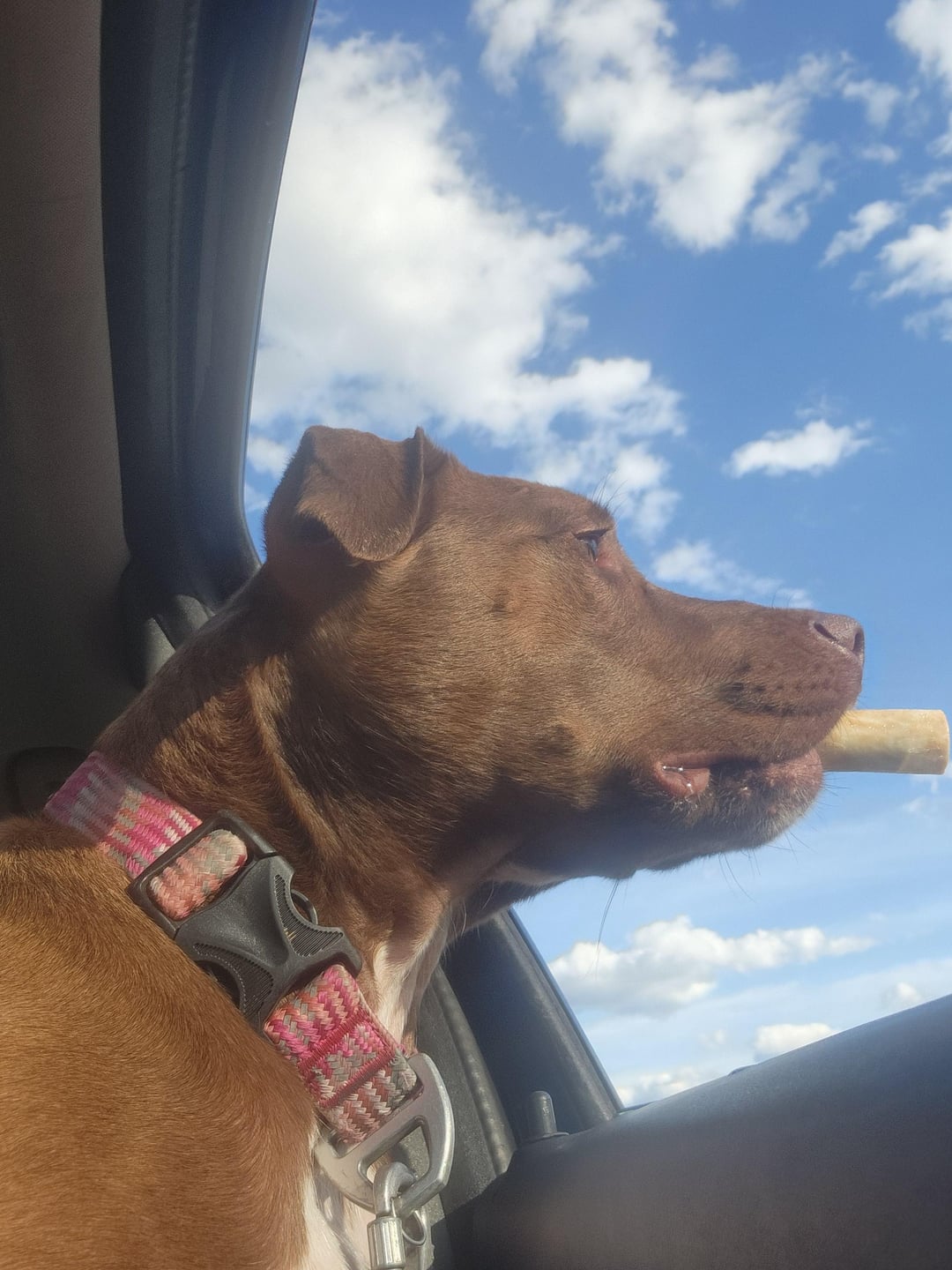 Holding her treat