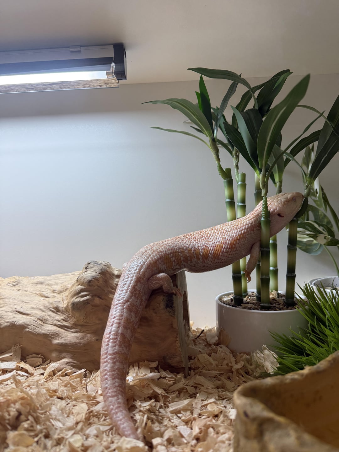 So comfy