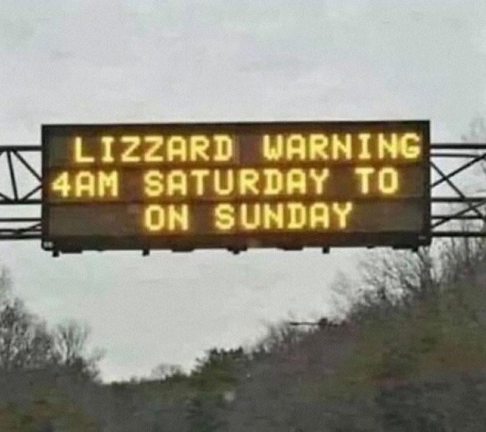 LIZZARD WARNING 4AM SATURDAY TO ON SUNDAY