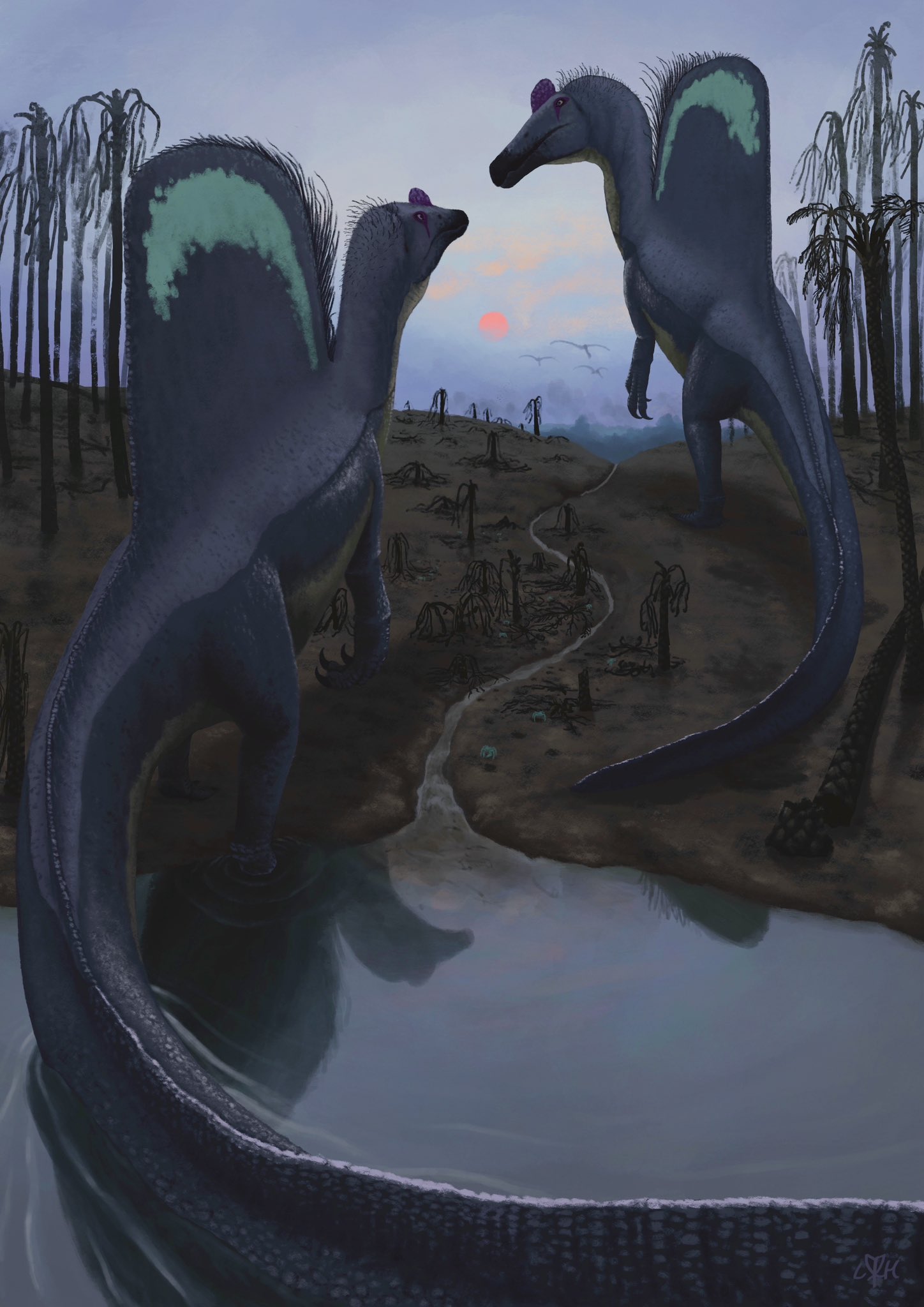 Spinosaurus 