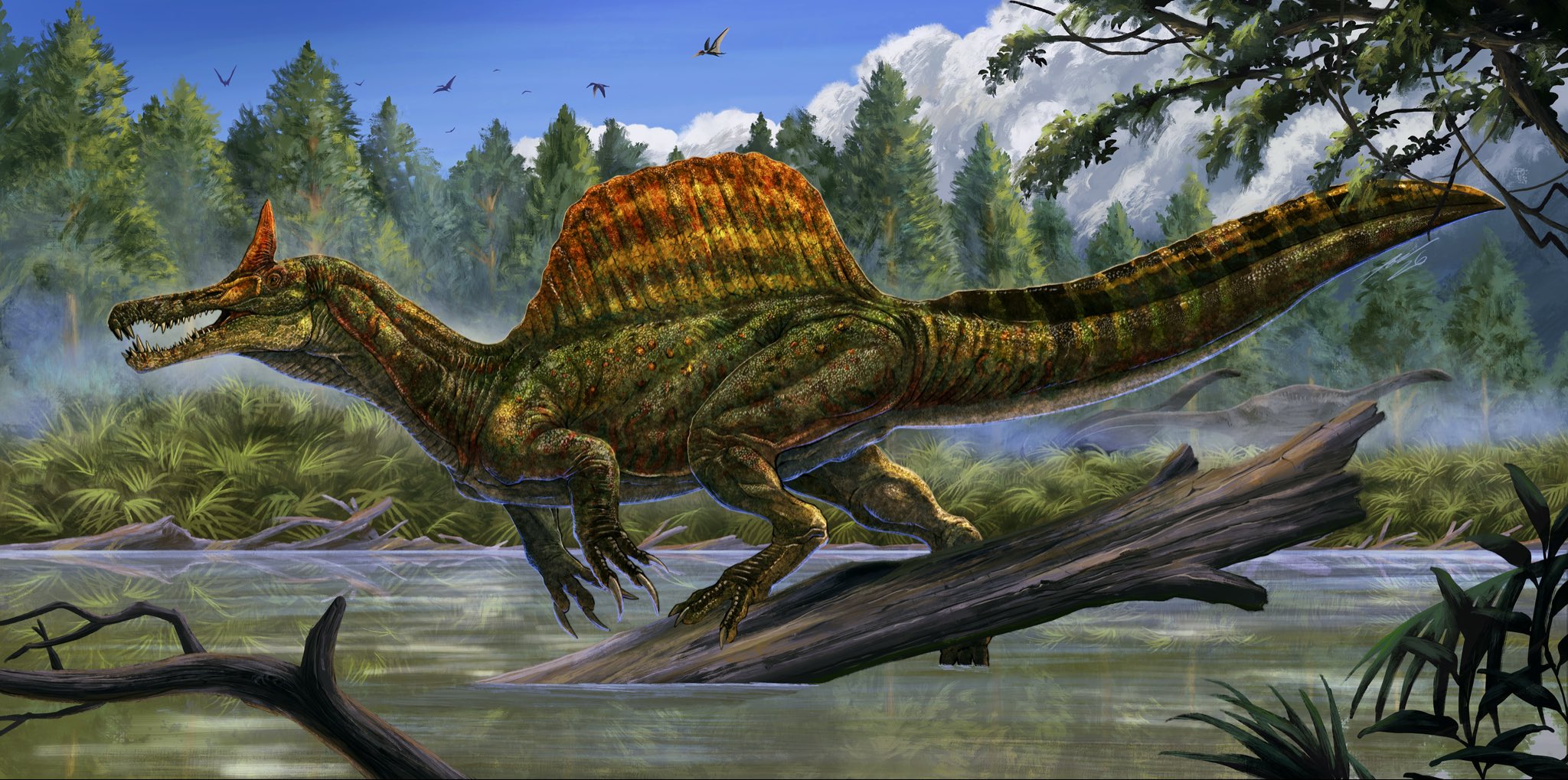 Spinosaurus mirabilis 