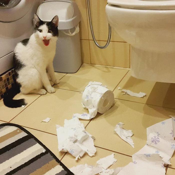 This is fine