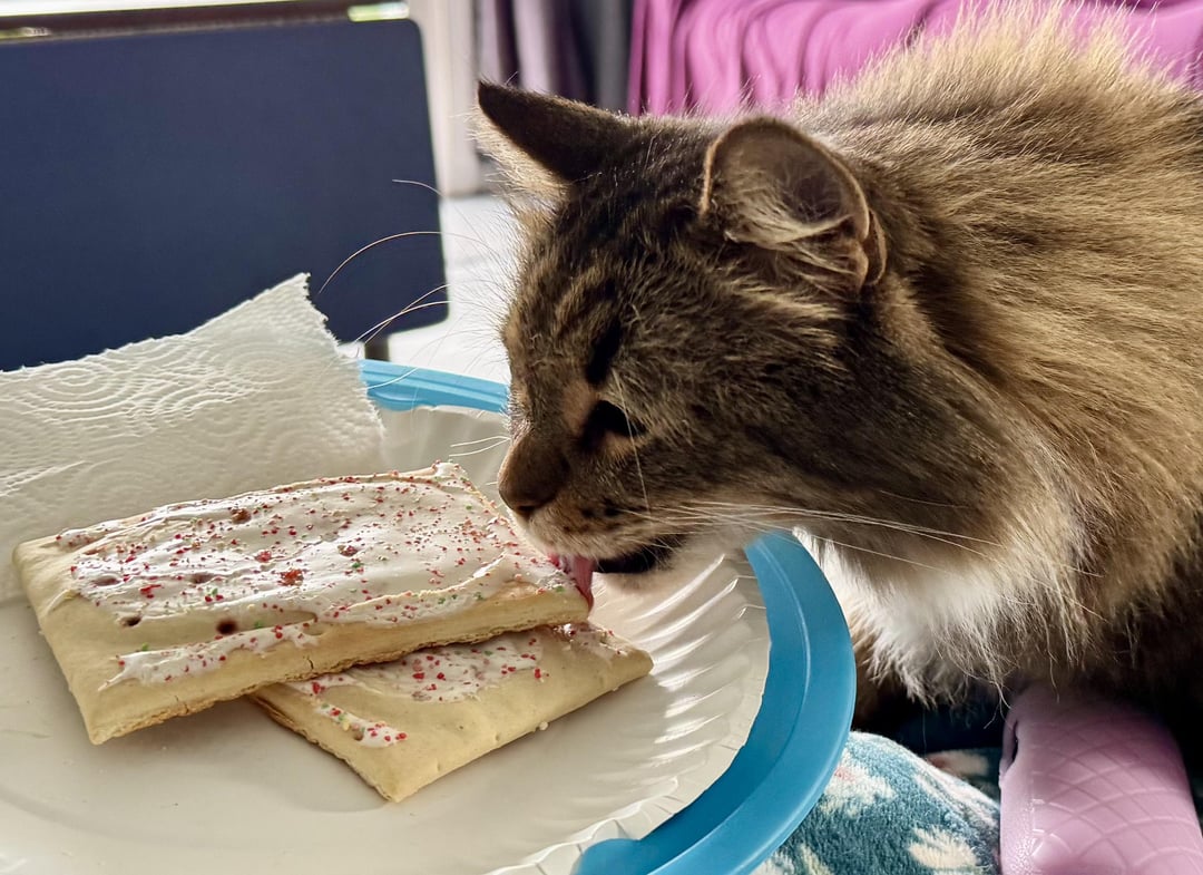Looked away for a second