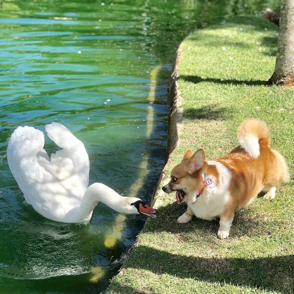 A standoff