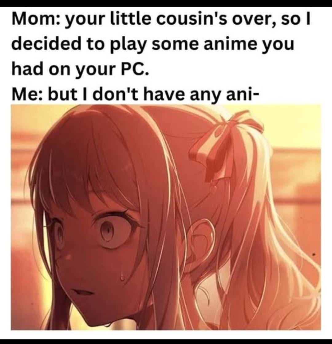 Mom: your little cousin's over, so I decided to play some anime you had on your PC. Me: but I don't have any ani-
