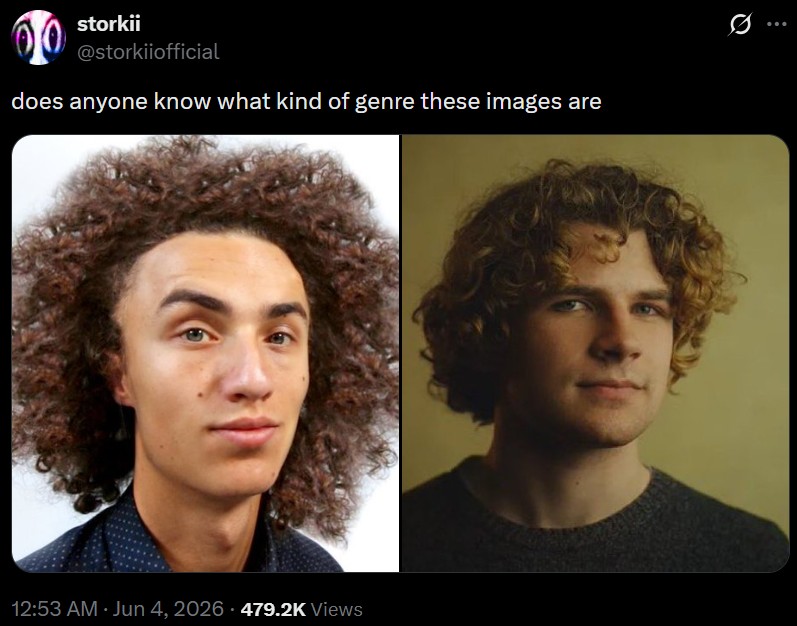 storkii @storkiiofficial does anyone know what kind of genre these images are 12:53 AM Jun 4, 2026 479.2K Views