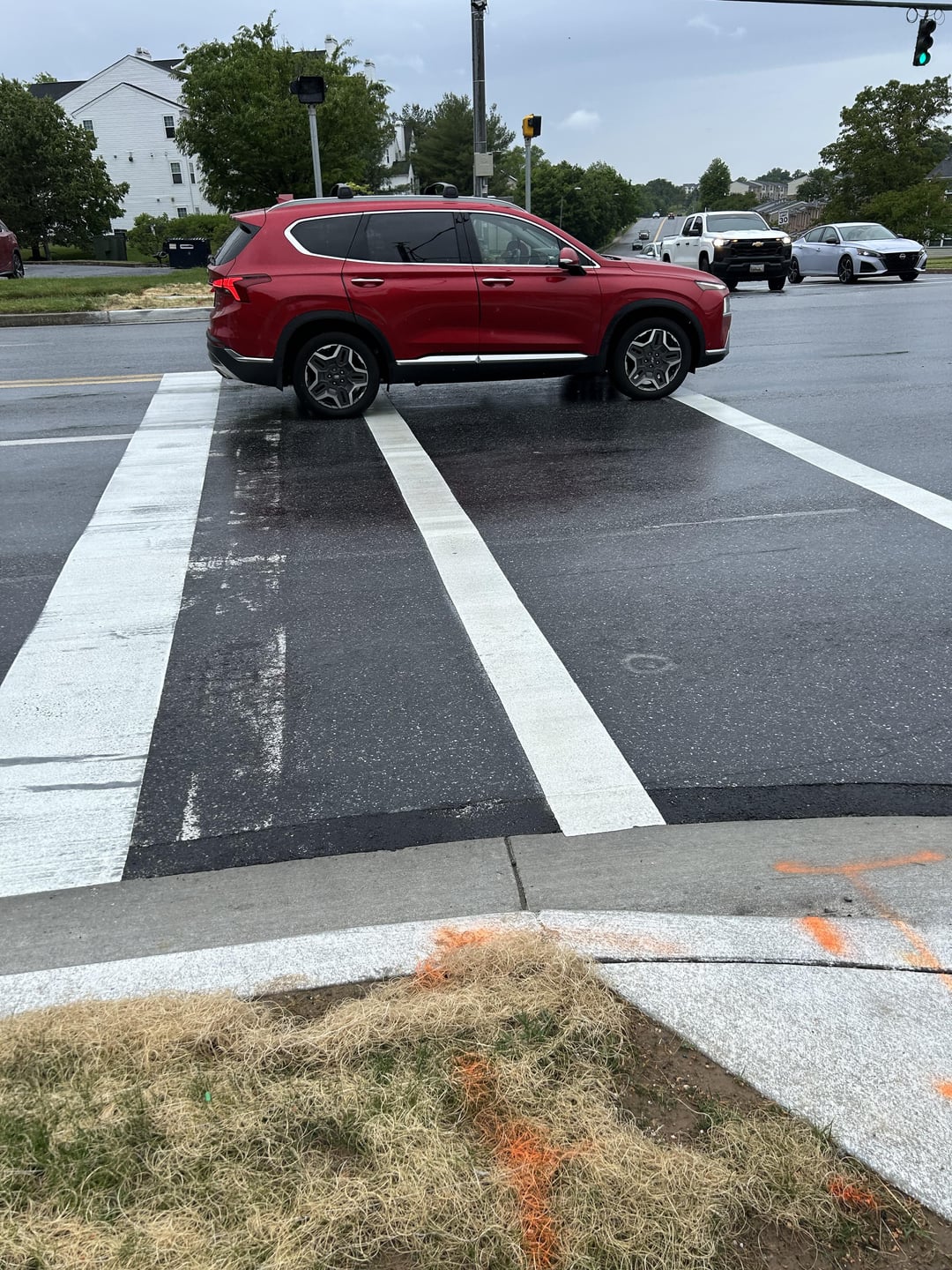 Trying to cross the street