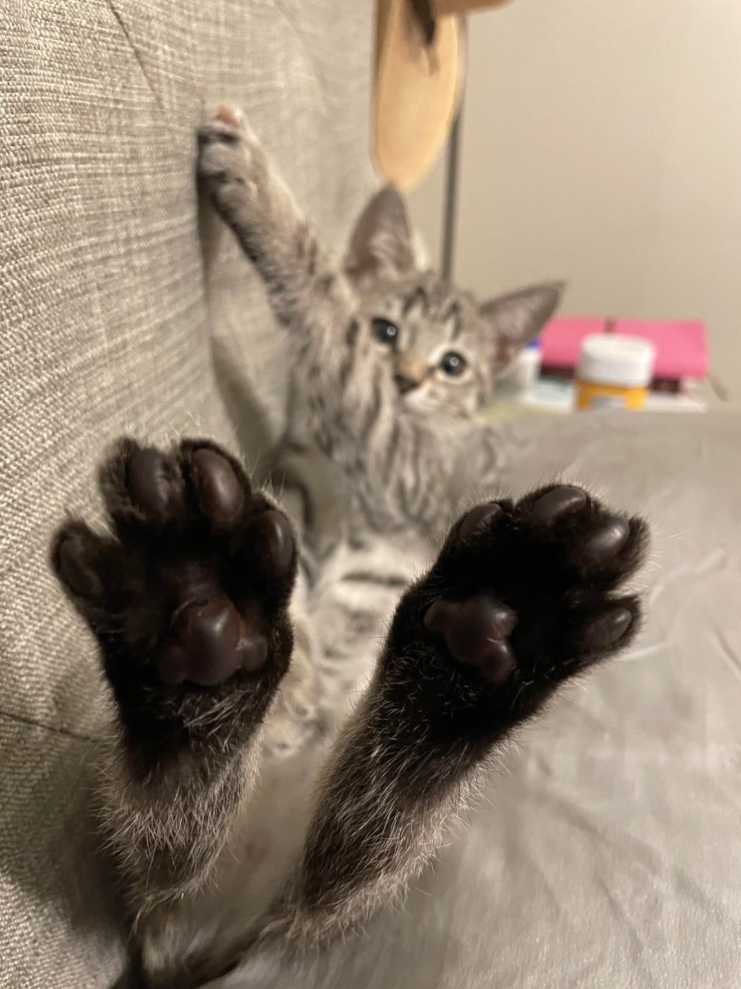 Tiny toes
