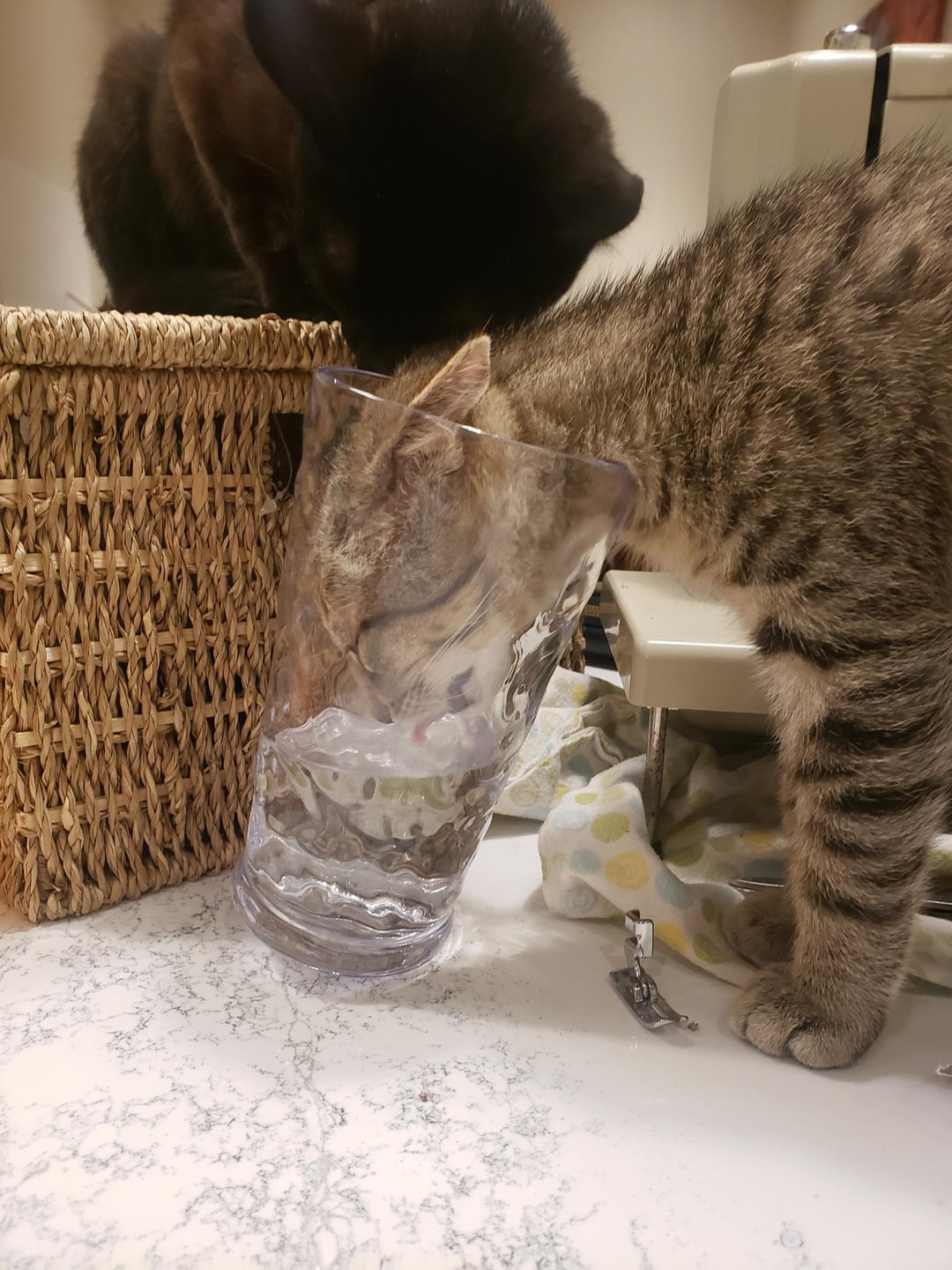 Thirsty