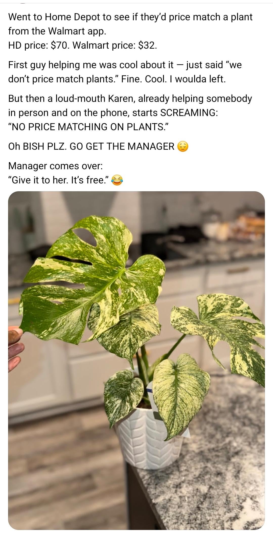 Went to Home Depot to see if they'd price match a plant from the Walmart app. HD price: $70. Walmart price: $32. First guy helping me was cool about it - just said "we don't price match plants." Fine. Cool. I woulda left. But then a loud-mouth Karen, already helping somebody in person and on the phone, starts SCREAMING: "NO PRICE MATCHING ON PLANTS." Oh BISH PLZ. GO GET THE MANAGER Manager comes over: "Give it to her. It's free."