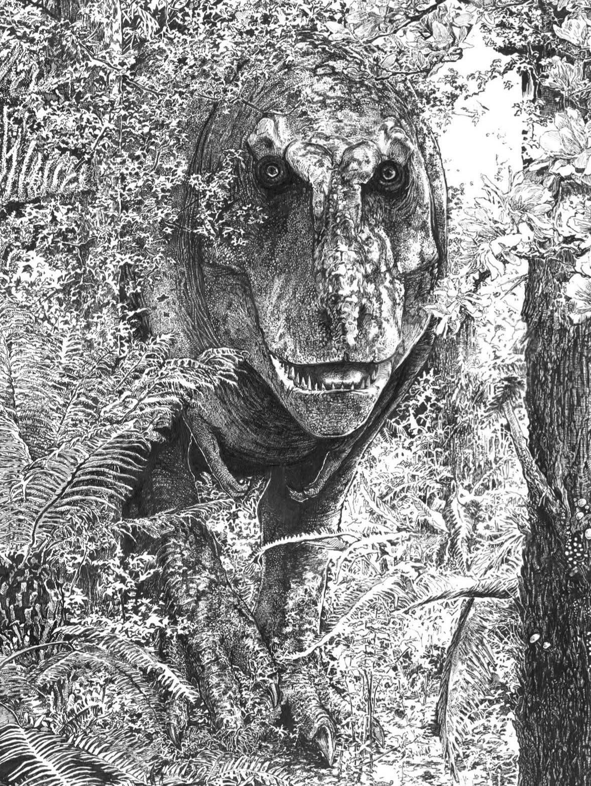 Spotted by the tyrannosaur