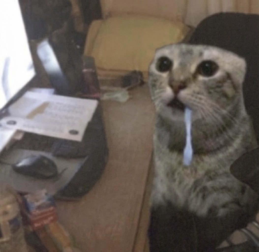 Drooling Cat PC