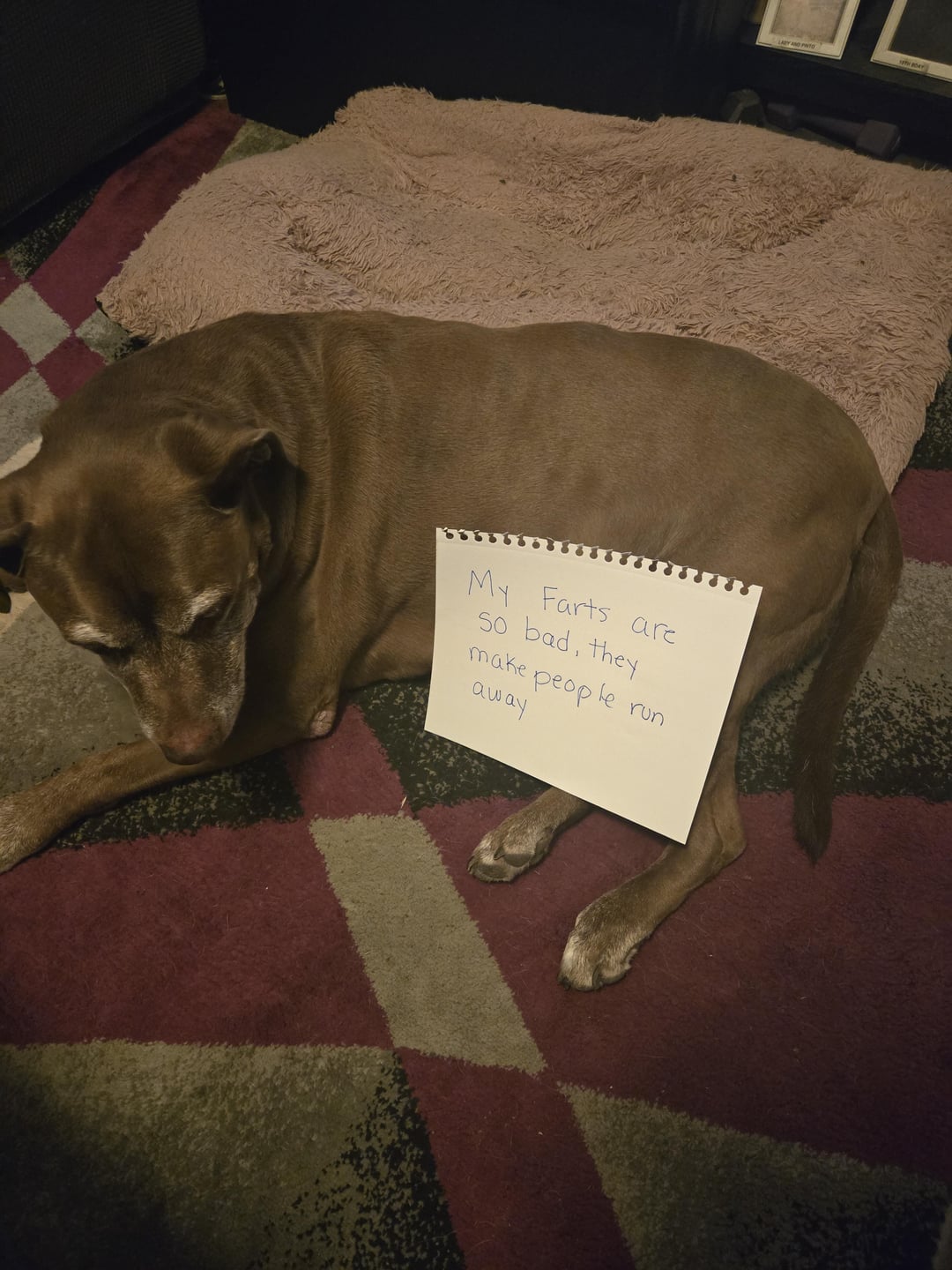 My Farts are so bad, they make people run away