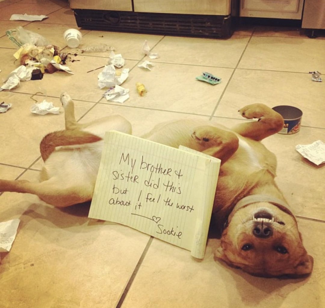 My brother + Sister did this but feel the worst about it B Sookie