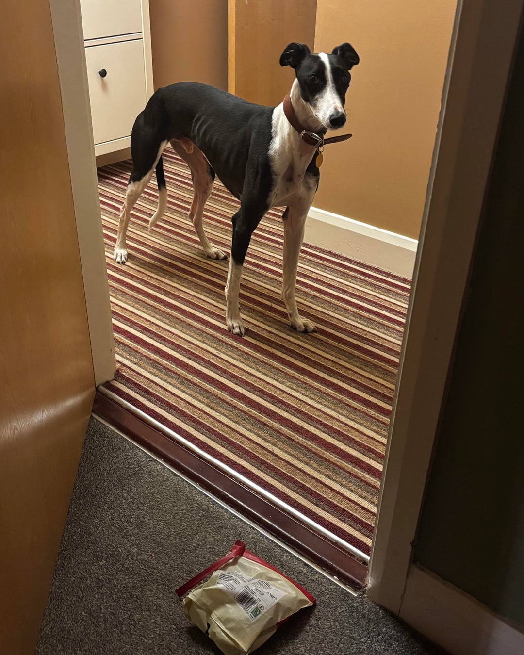 Who put that there?