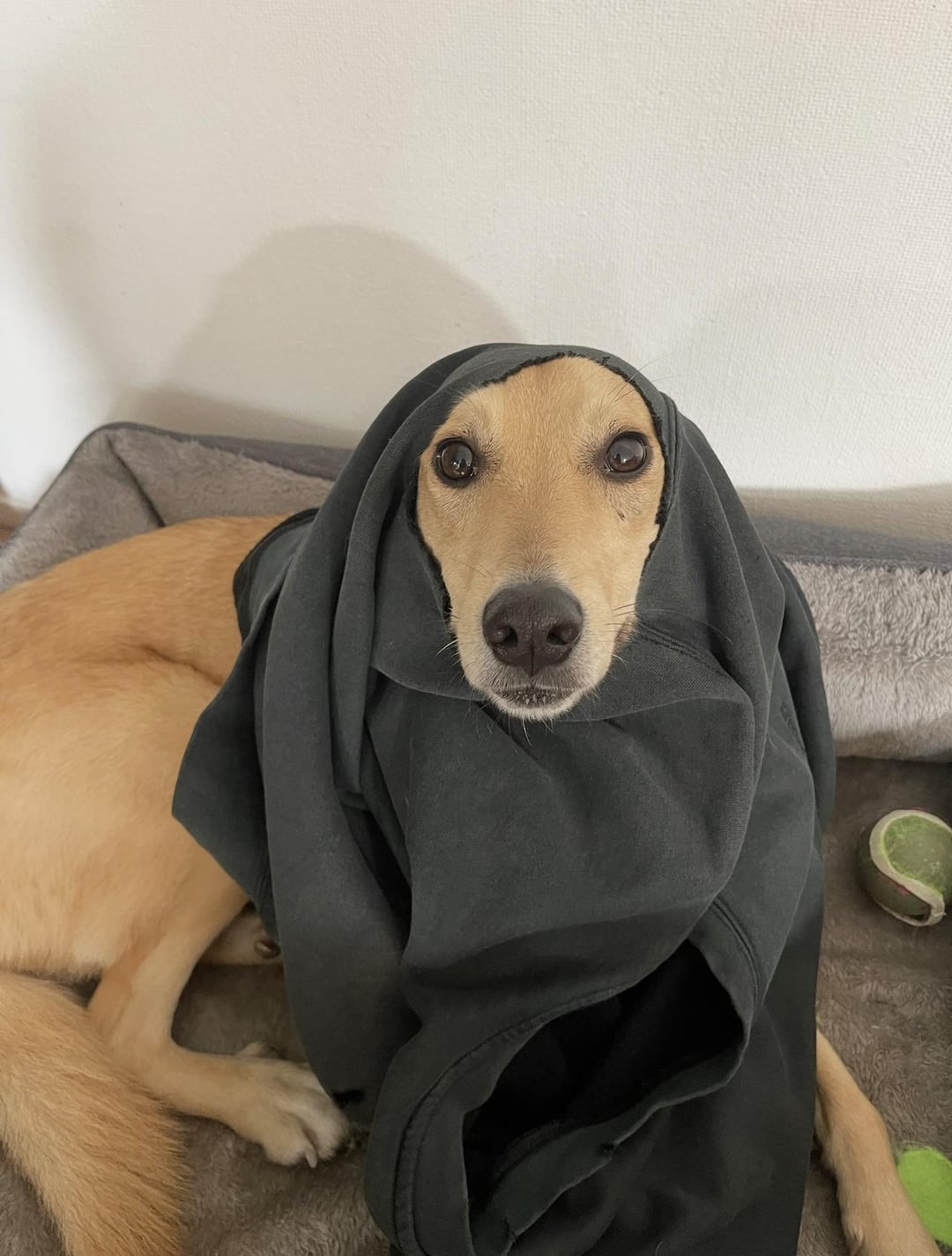 A favourite sweater