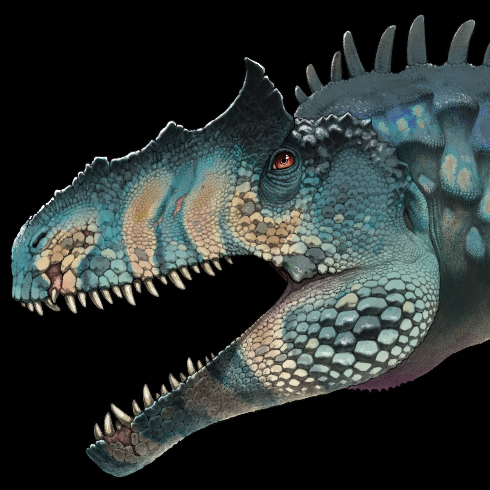Allosaurus 