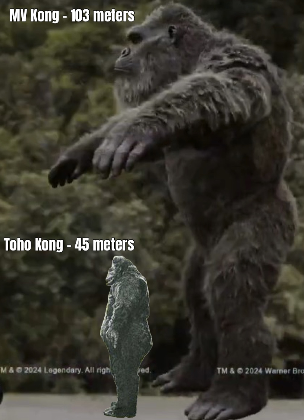 MV Kong - 103 meters Toho Kong - 45 meters M & © 2024 Legendary. All righ TM & © 2024 Warner Bro