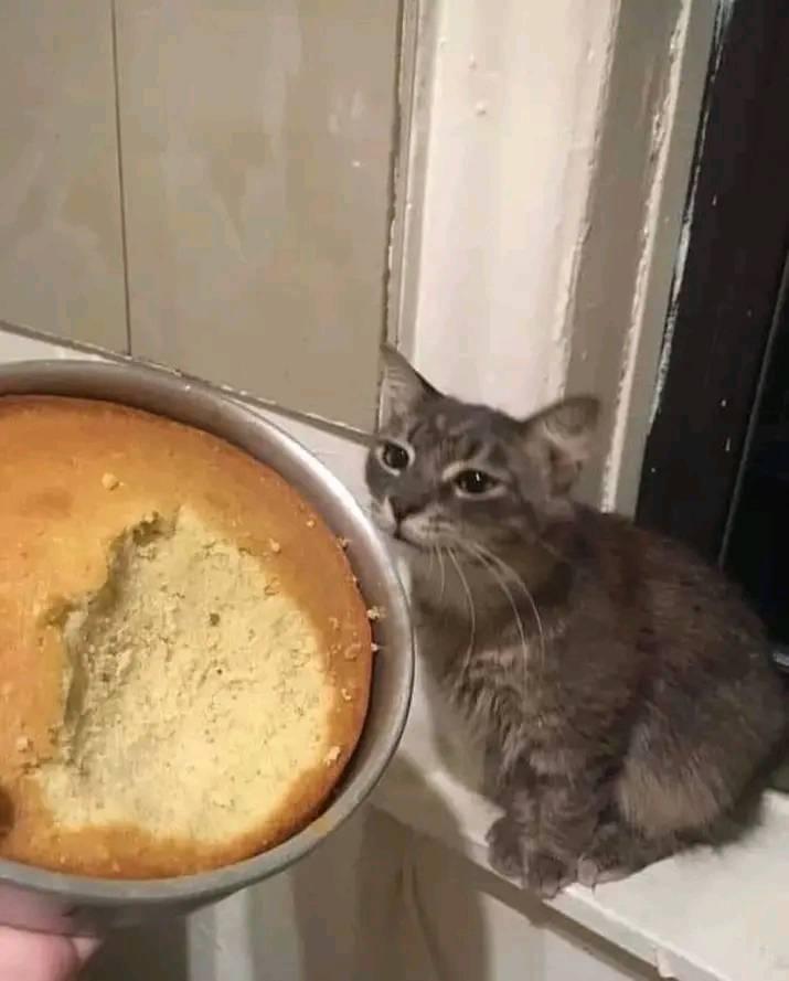Yummy