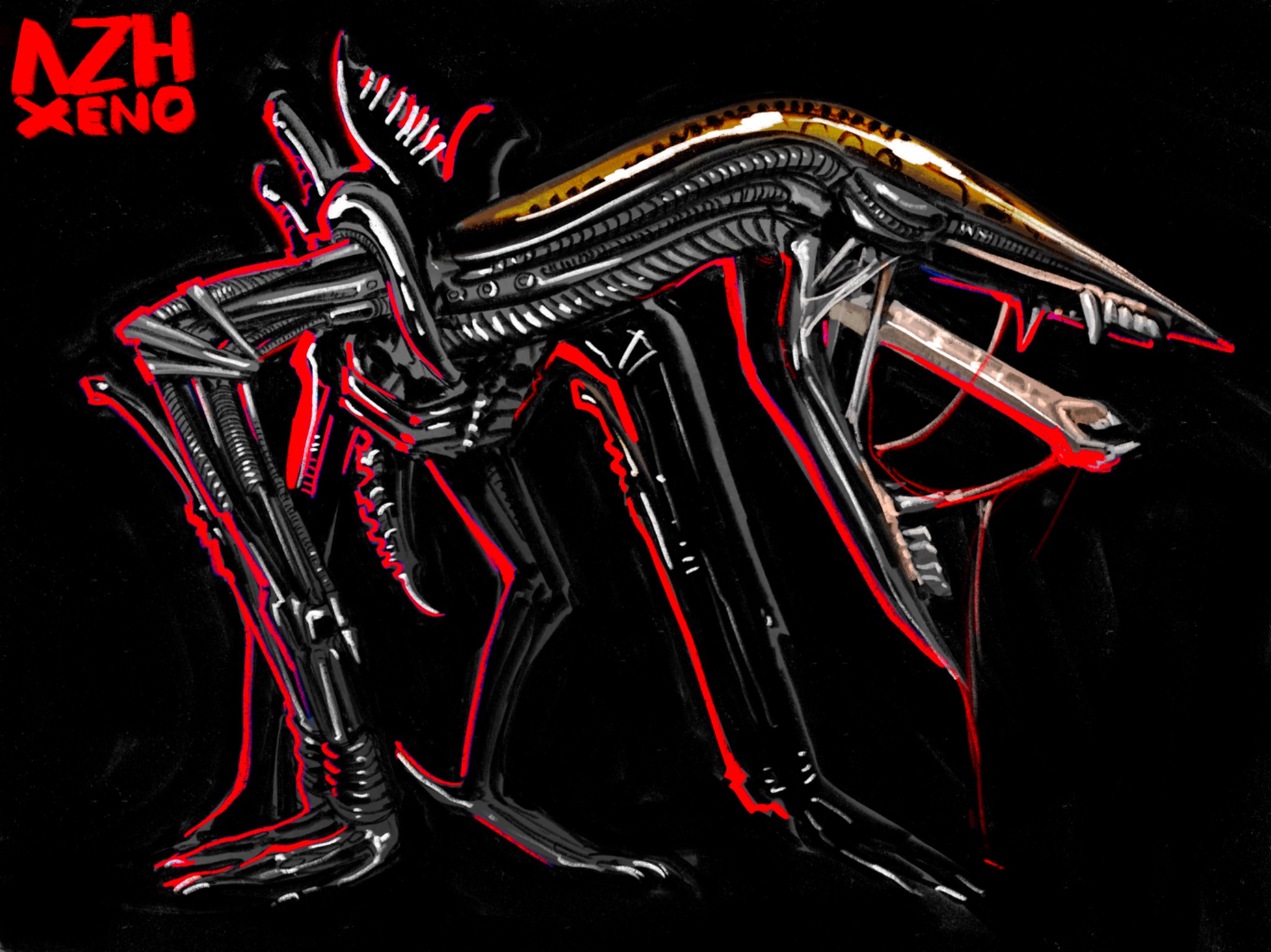 SPIN XENO HZV
