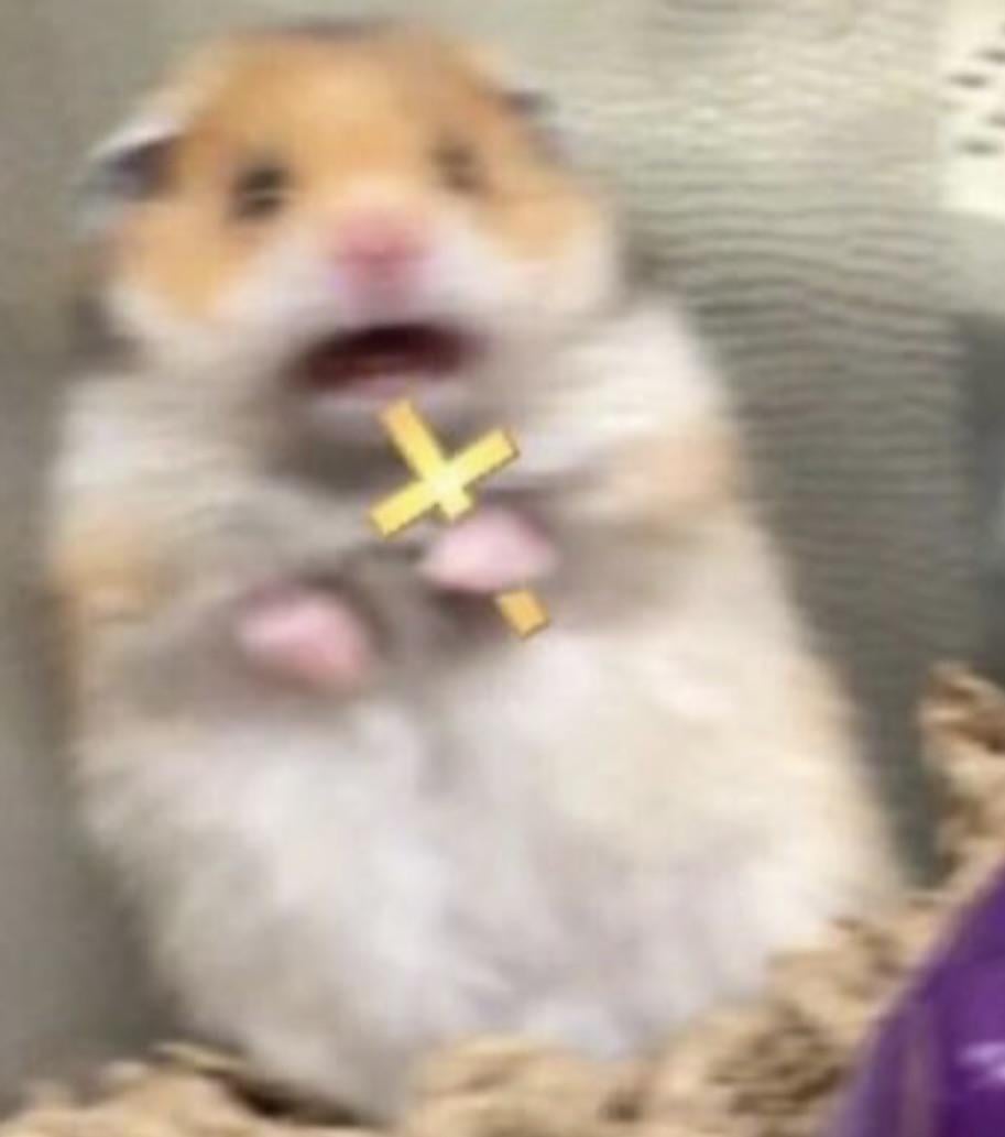 Scared Mouse Meme Cross